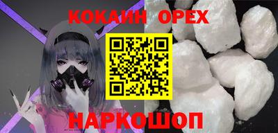 крисы Камышлов