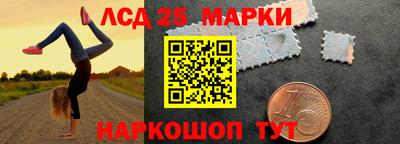 крисы Камышлов