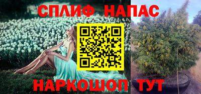 винт Канаш