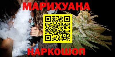 крисы Камышлов