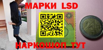 крисы Камышлов