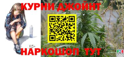 крисы Камышлов