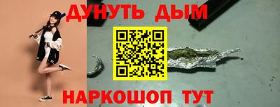 крисы Камышлов