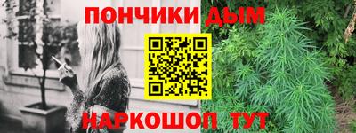 крисы Камышлов