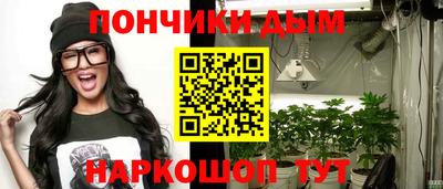 крисы Камышлов