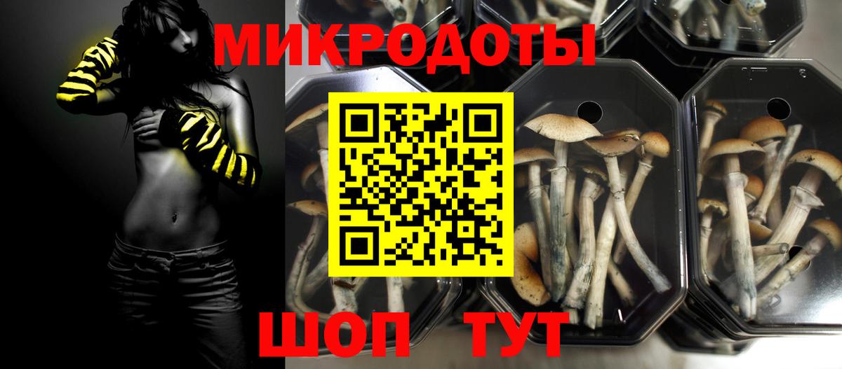 Псилоцибиновые грибы прущие грибы Краснодар