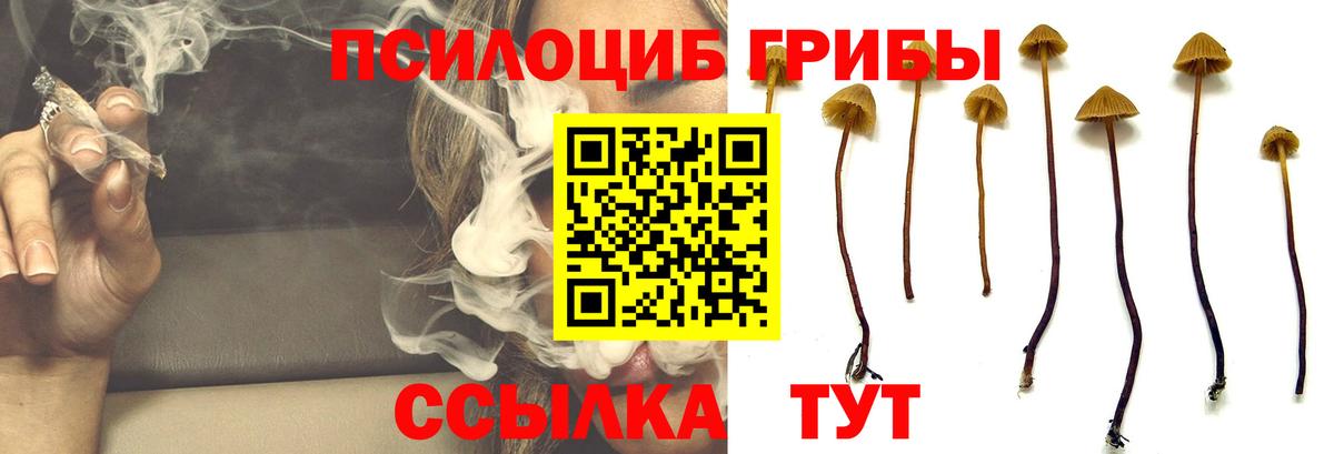 Краснодар  Псилоцибиновые грибы Psilocybine cubensis  Вход с VPN  Псилоцибиновые грибы мухоморы 